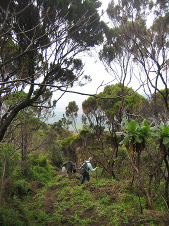 Nyiragongo049